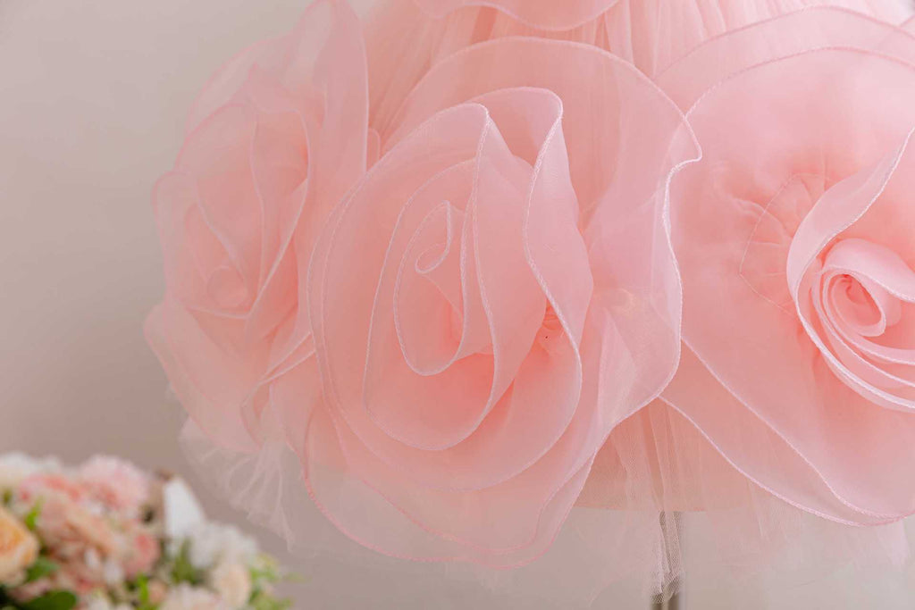 MoonPie Princess Party Dress – Baby Pink